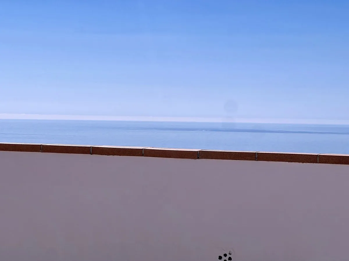 c111d8bc-d8fb-4aae-a769-094ab9d61419