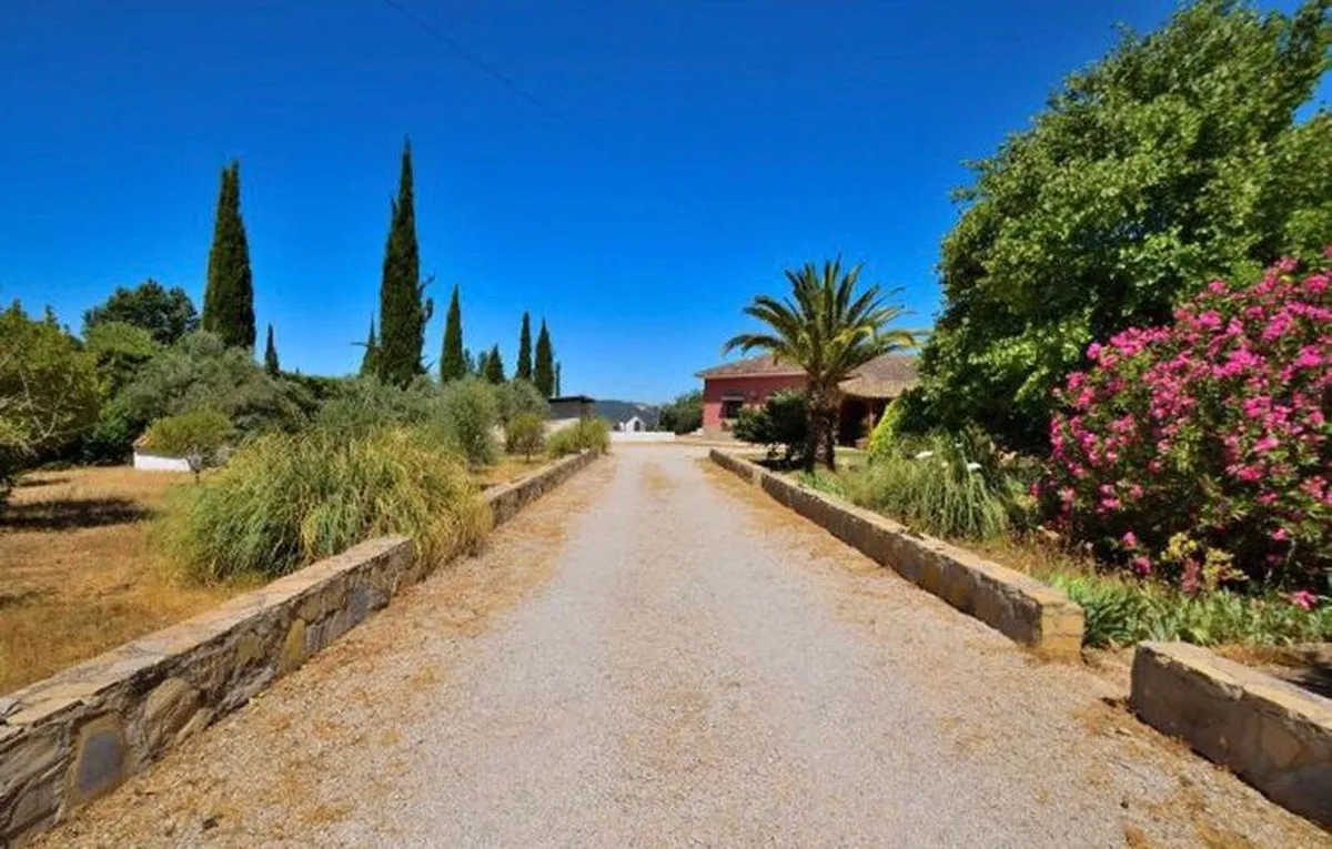 ecfba45f-c9e7-471d-8325-47538ad87795