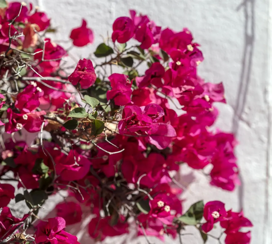 9a081797-e546-4473-86af-5514a7f3c057