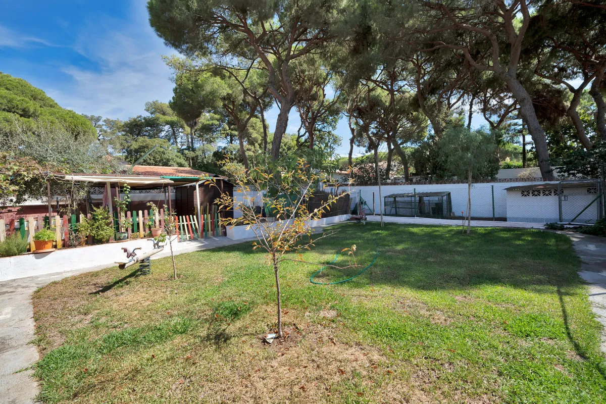 00d2b733-07fa-4b44-86ab-bc61f715cb4a