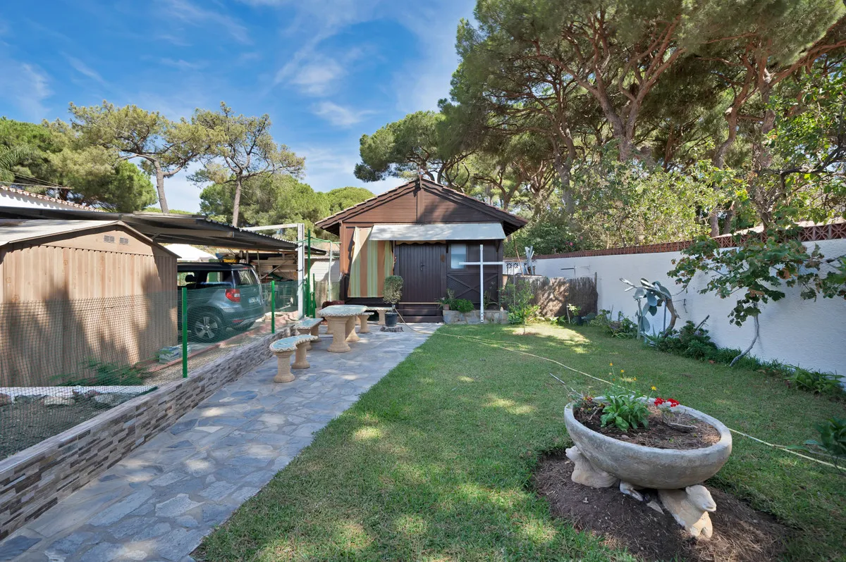 ae4363c1-c396-4ce7-9d6f-f713d12aff95