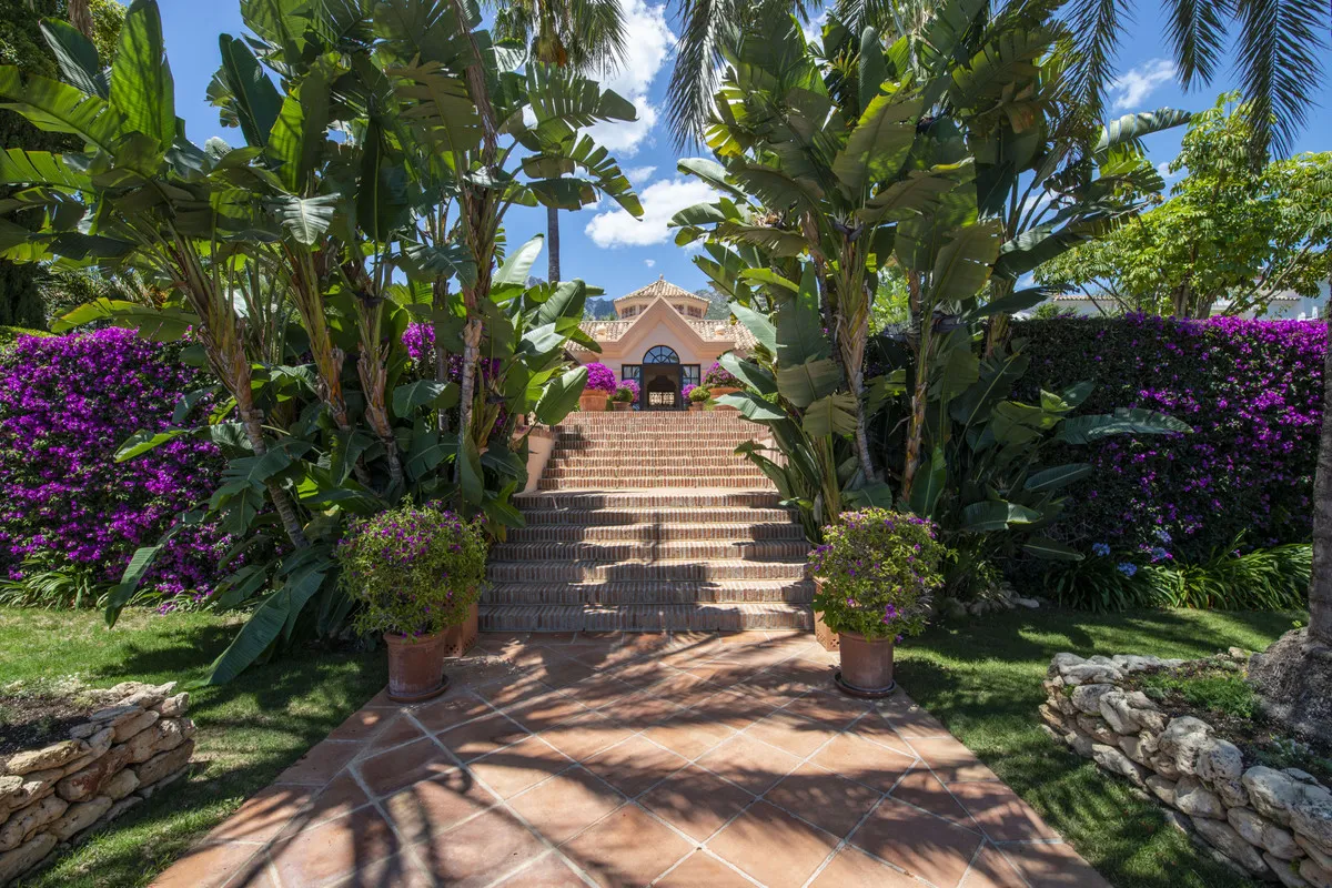 0ce2e81b-374a-4501-a9dd-1b676735ca4d