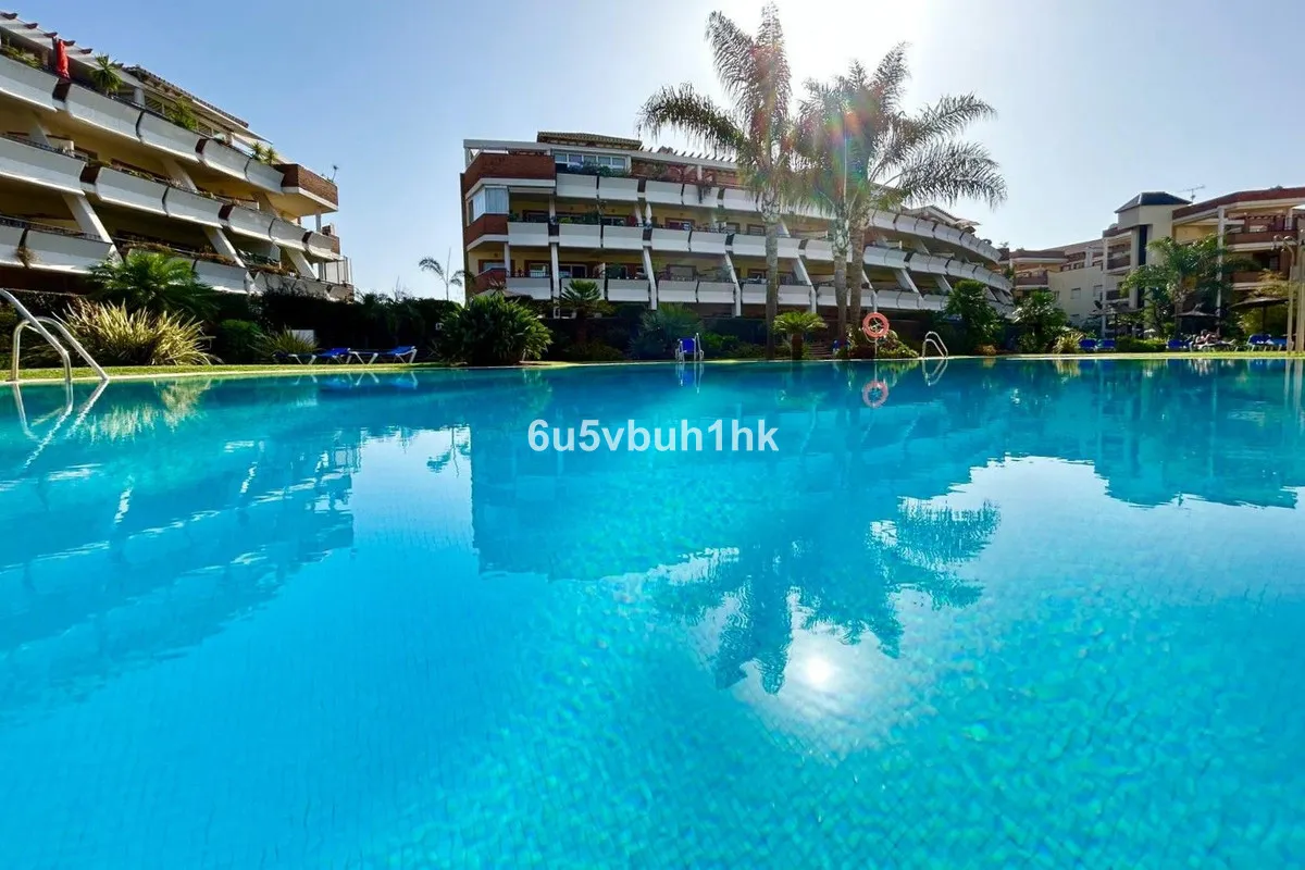 2385a544-3638-46a1-80e8-368f9738f0c0