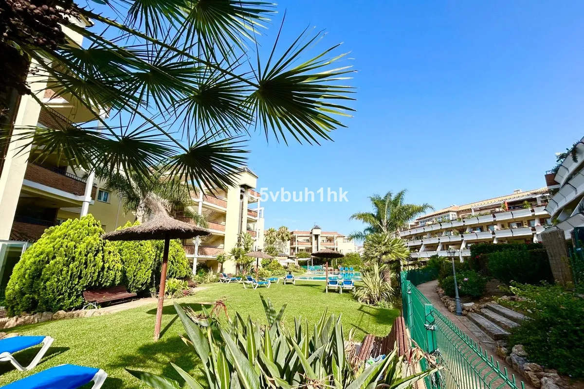 c729d1cf-0626-45e2-a4e0-ff063f7dfb19