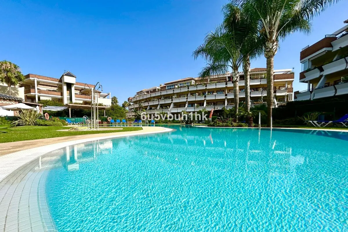 d36085c9-1b5b-490b-80c4-6b5a9e679f43