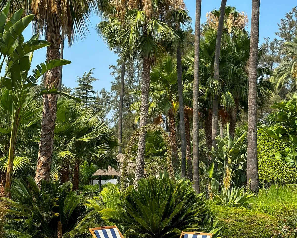 e6c155e0-43a8-40bc-ac2c-4f3dbac0ed03