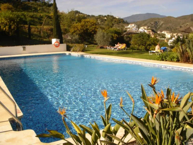 39521262-7628-496c-a437-16f7d973d56b