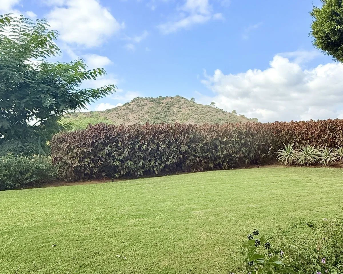 56b72047-a385-47c2-9796-b468dabc6d32