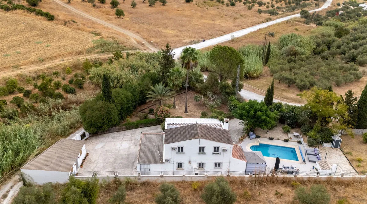 92109ae1-f80d-4d97-a170-a1601c474300