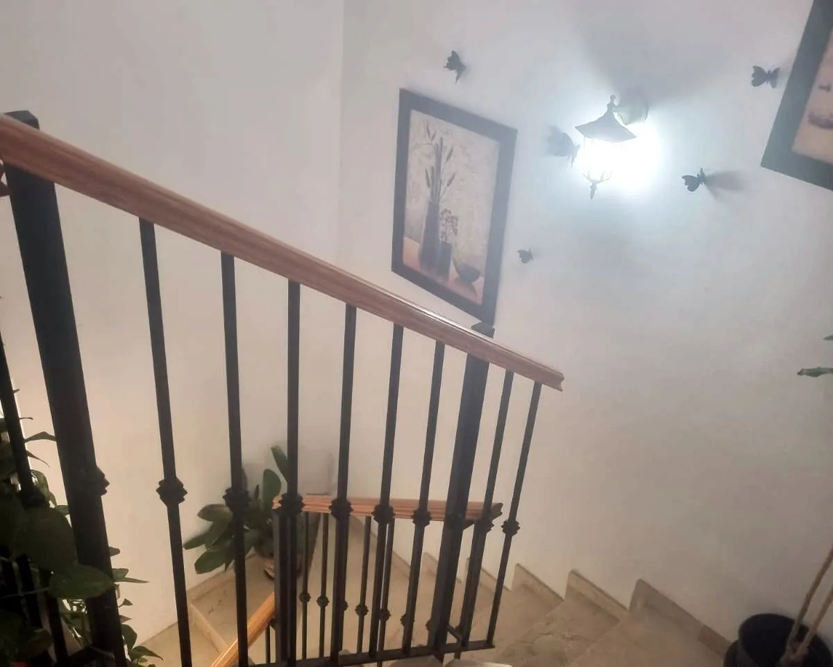 8d43c001-29ad-409f-85b5-fac3db9e4413