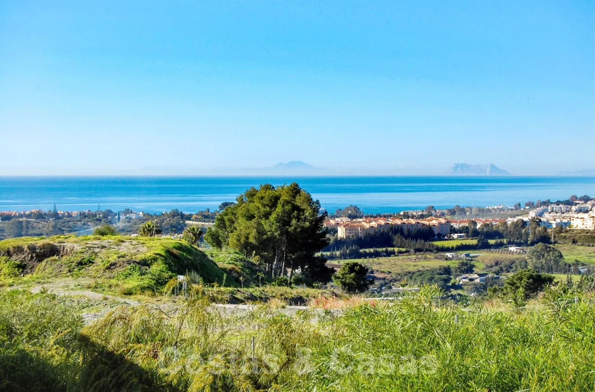 8e58f898-ce5b-4565-b1cc-38f2c67c0e67