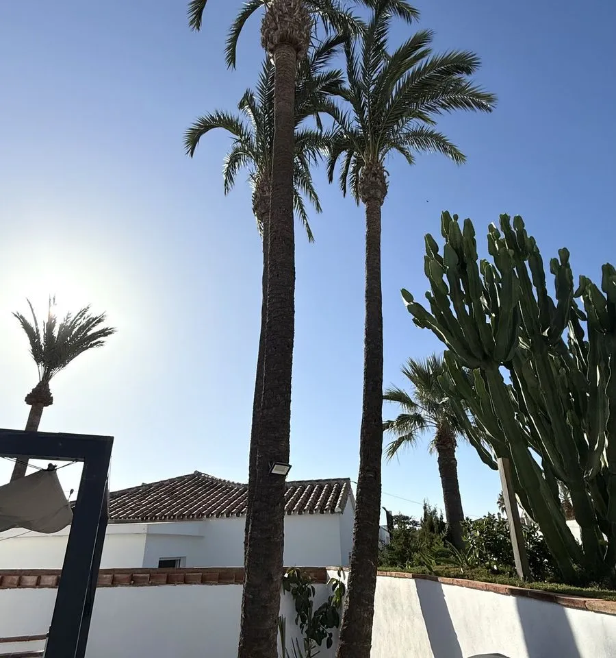 2c0d6166-0b8a-431a-a620-6a0e6cba7a8b