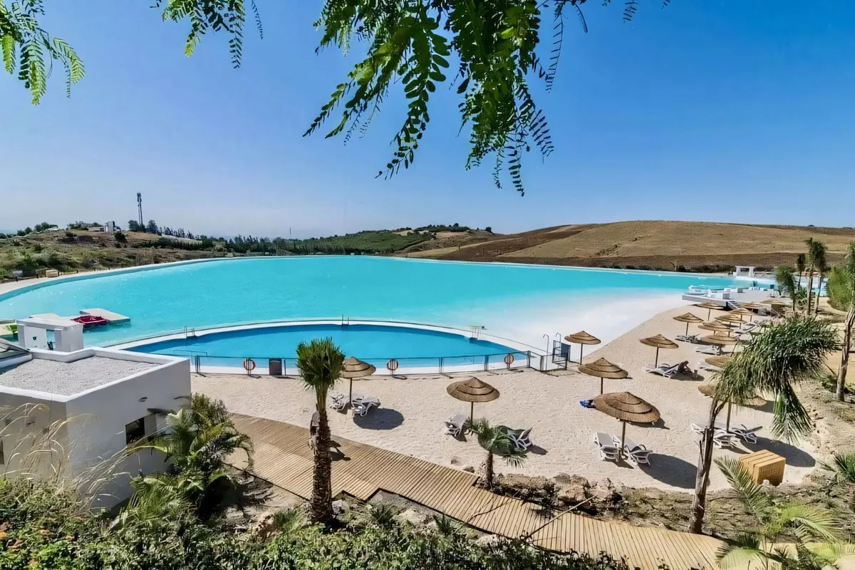 51d37e8a-00b9-4ffe-b007-94094f7a89bc