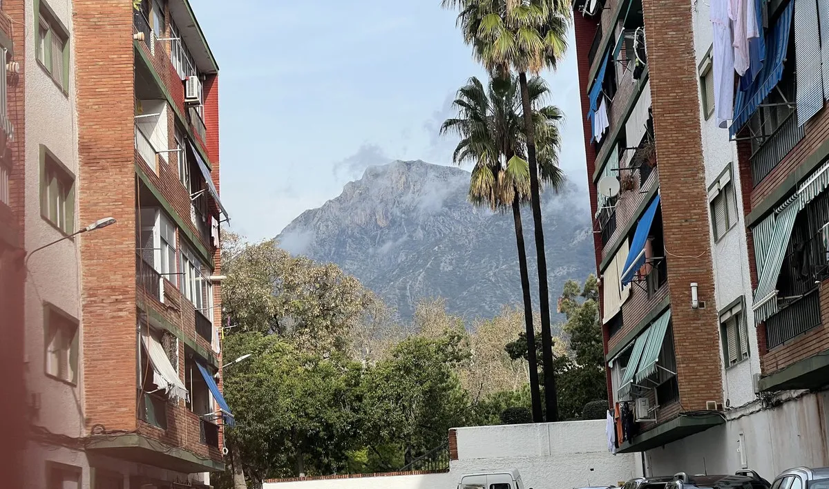 205d7cd2-673d-4871-8f77-314af9c23c0d