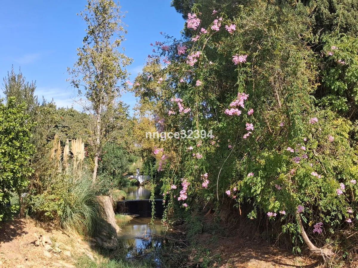 35b3de4d-2c96-41d2-8ff4-60770ce1cacd