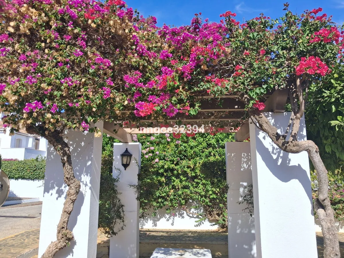 6248ce8a-2eea-42d7-98d0-5ec057b10880