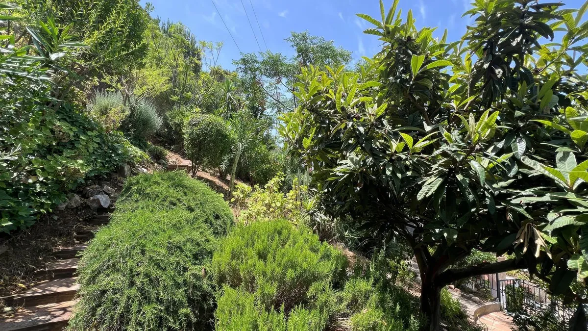 cb8ef203-ce47-4fff-ad37-731a3db231cd