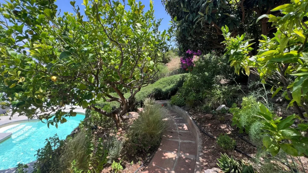 daa46622-27b2-4653-a276-7e7f84c7dc96