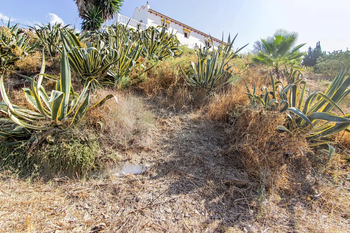 faed2d71-e66e-493a-9f54-31dc9ca06a99