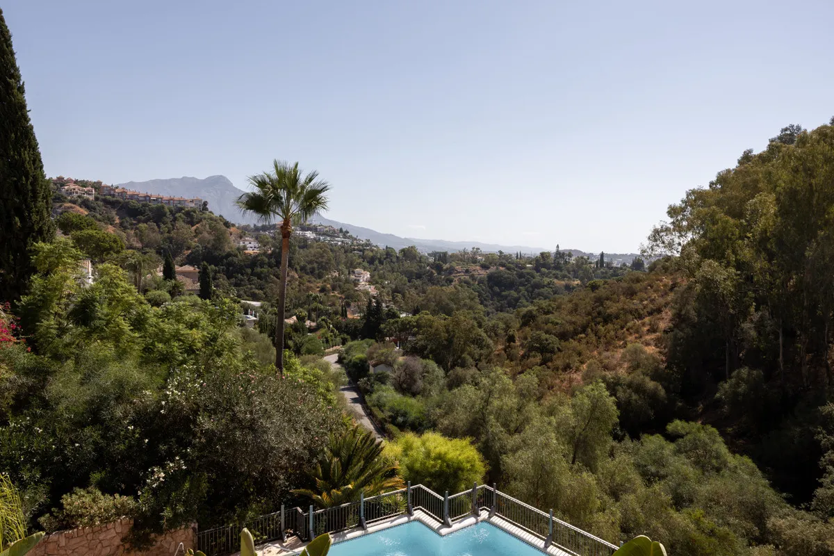 4242d035-7c43-4c46-875e-50fee0ed2a86