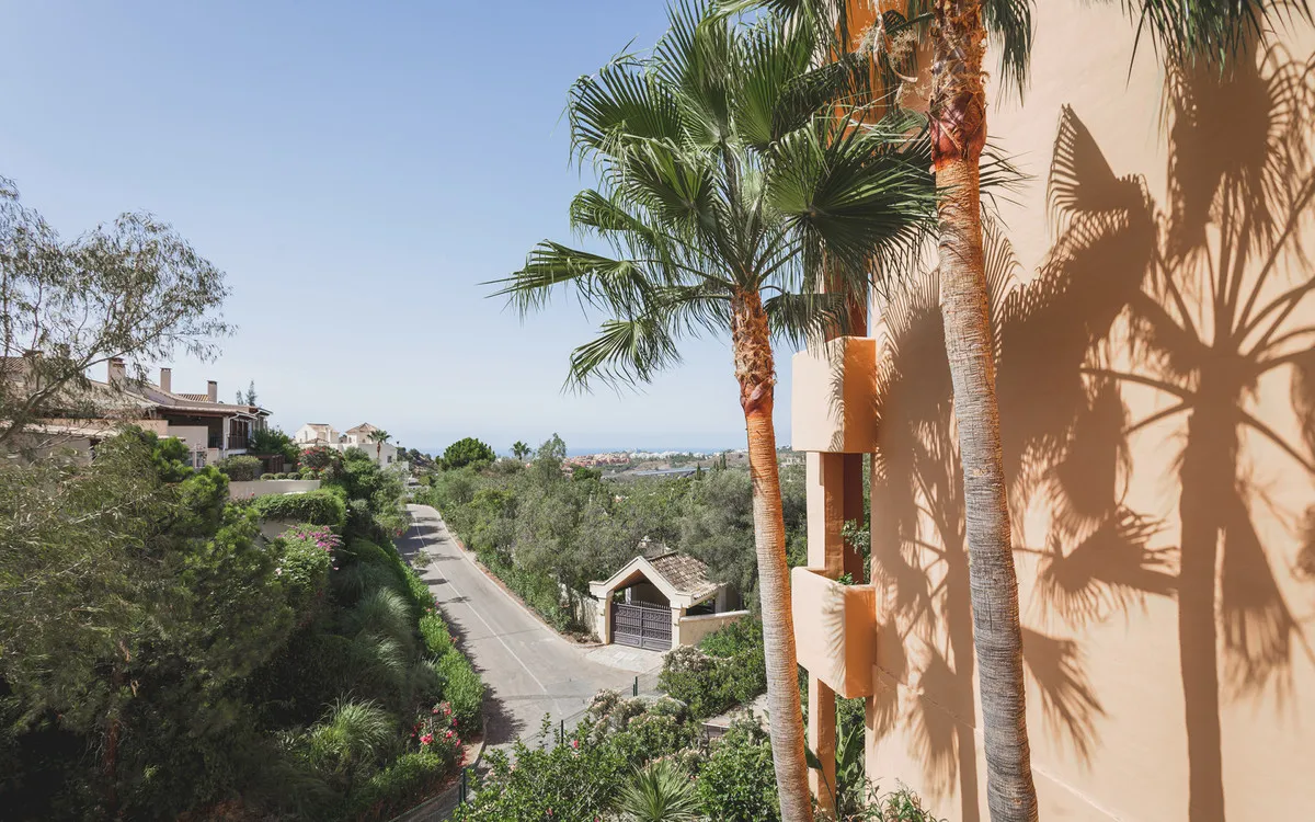 44414382-1a0e-4357-aa80-42a4150ddf30