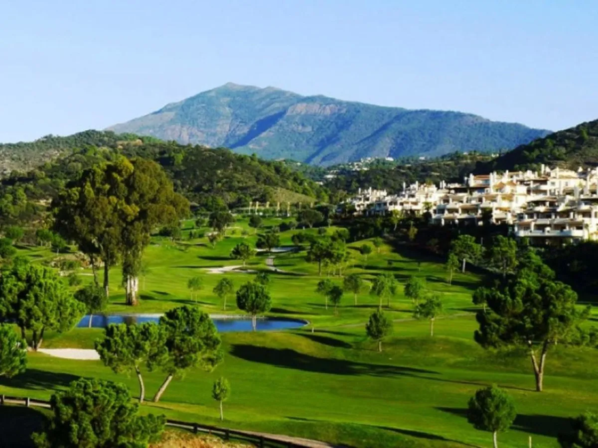 5d575bc5-a38b-487e-8295-1929a59af95a