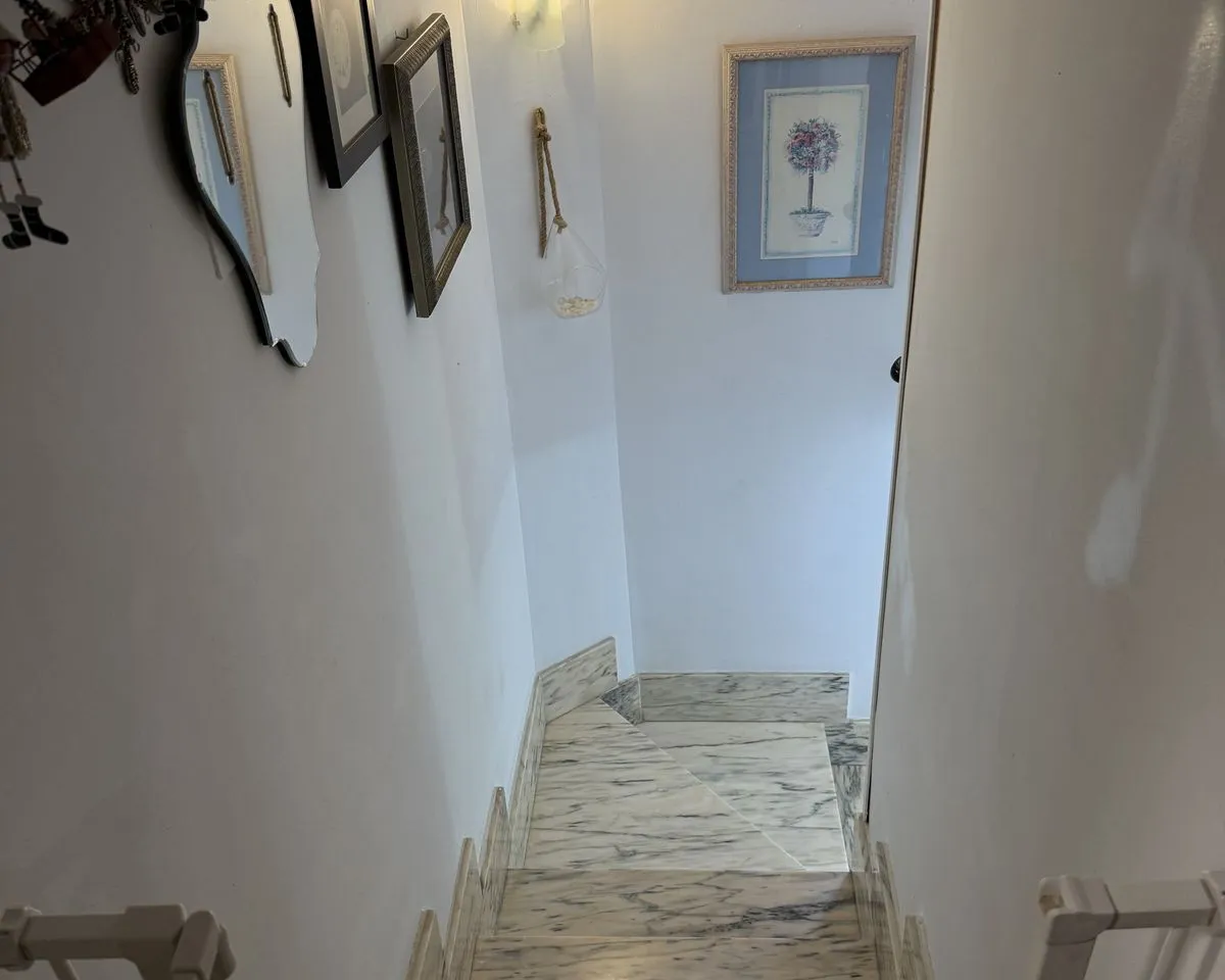 e9f005a6-5c43-4ca8-b6a5-9aef67a31afd