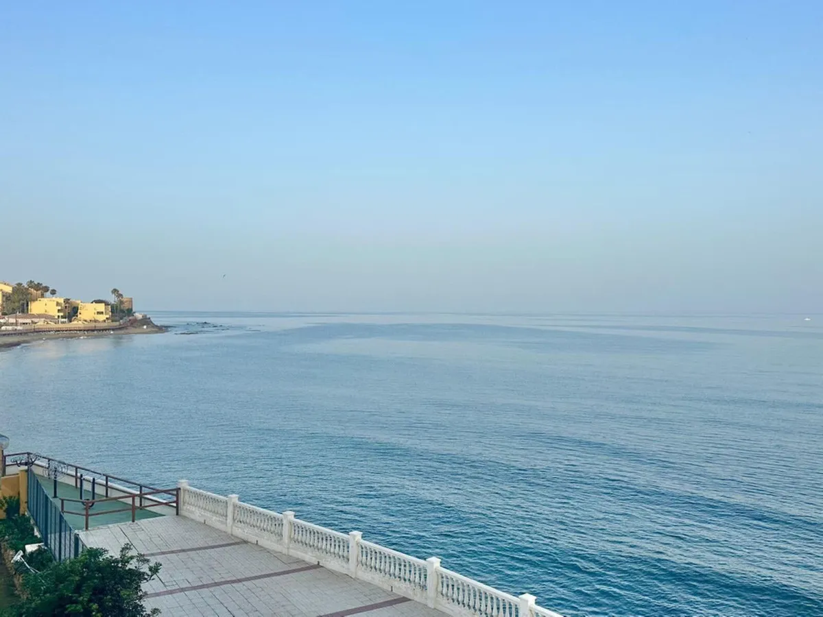 a58b0d55-69f5-452e-a461-bedf2c458cf2