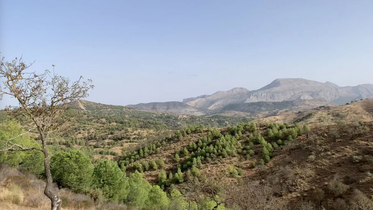 2818acfd-859f-4ad7-b774-804386ed2e23