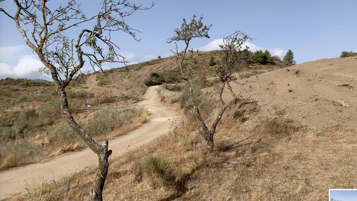 2de1383f-3934-4957-9f17-927d9c39845b