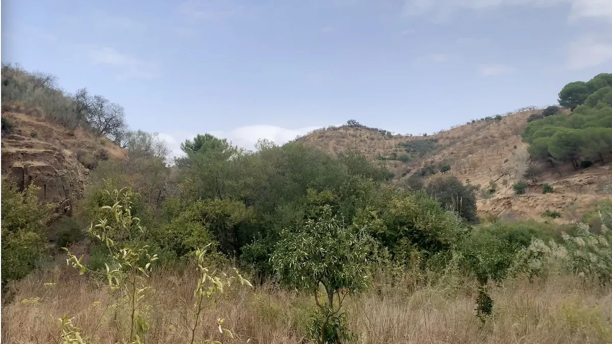 32685832-4a8c-4f50-a202-ce91531f2eaa