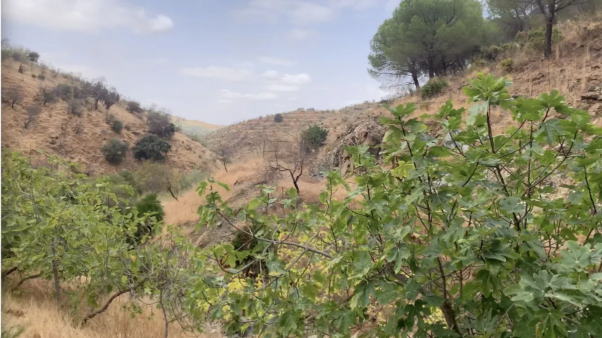 42ff92bb-762a-40d2-be1d-44a15c55cc2b