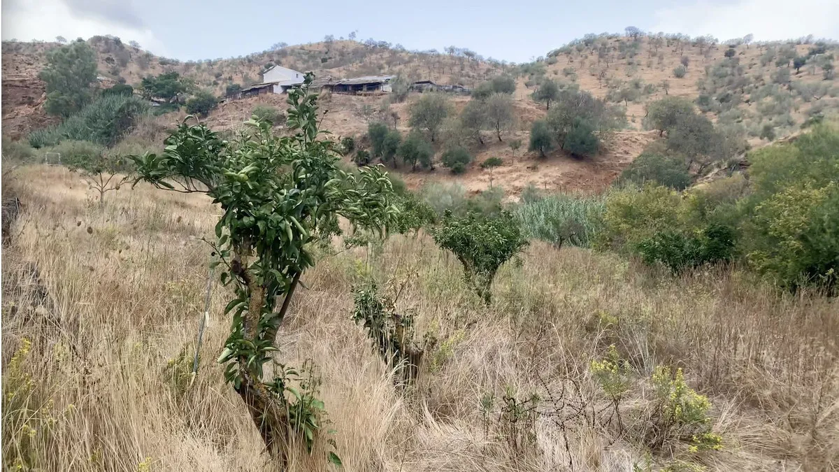 575e3dbb-9ab4-4ee1-9c75-da3b15e93975