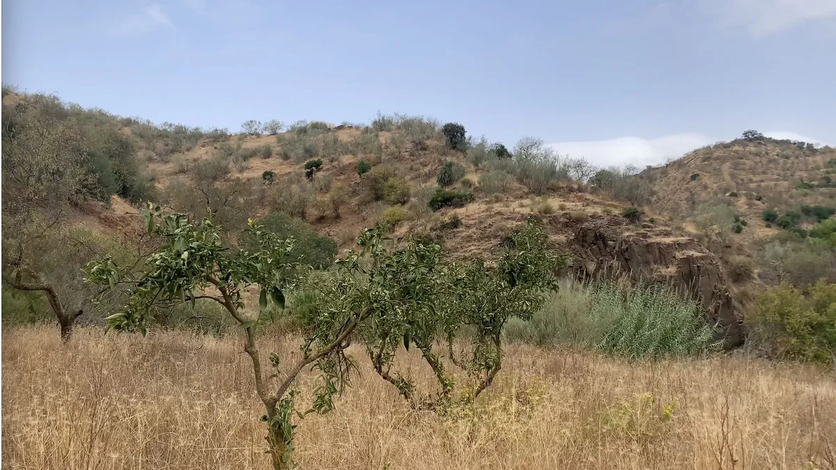 77d7c177-5624-4ccb-9745-bf42de1b9db1