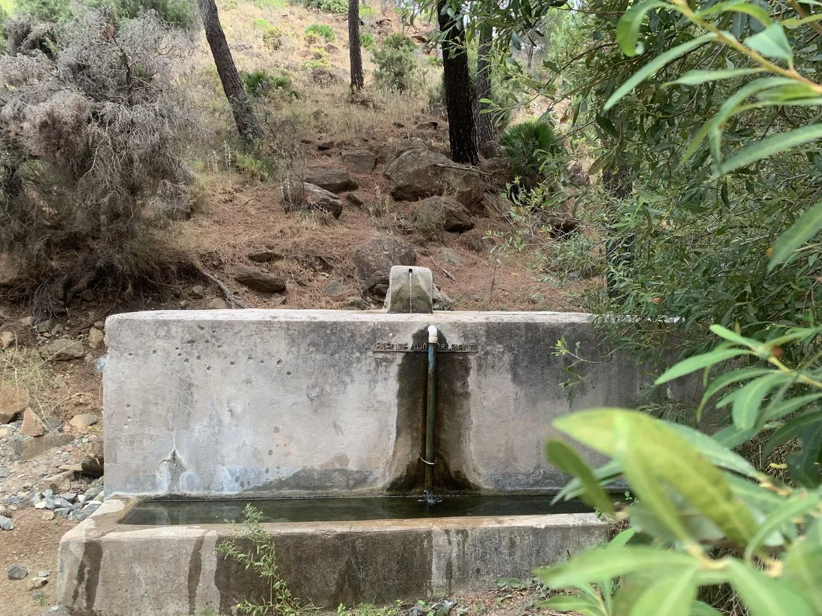 88f765c5-8f1b-432e-bddd-ad1170d7acde