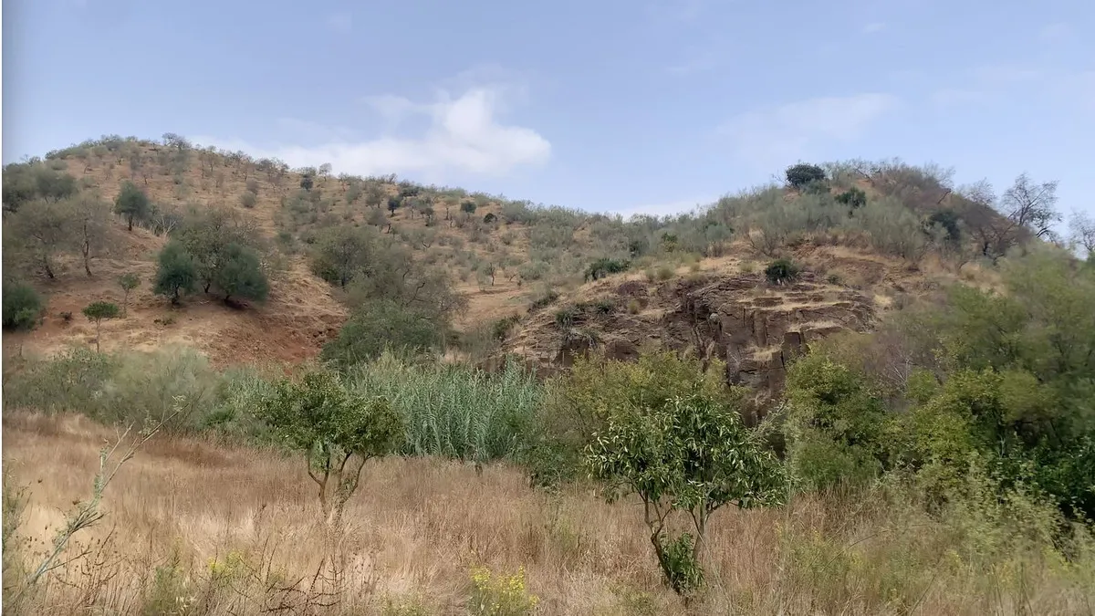 bf14d475-baae-44e6-a068-8a3377234308