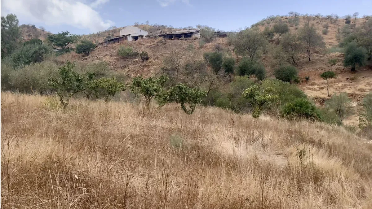 c8e5b7d9-b842-432b-a4e7-b6bf9aa1a6ef