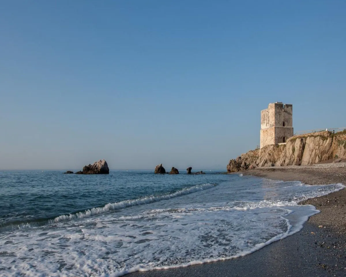 25c62b95-0a7b-4684-9caa-c9d9554ffeca