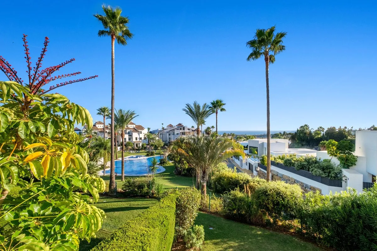 479a5775-cd08-4067-b037-18bff958f011