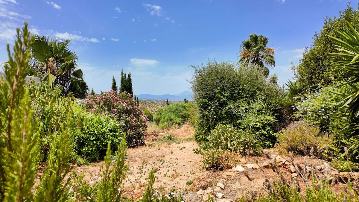 fd4ba1ec-c629-4863-a320-66ebe205e39a