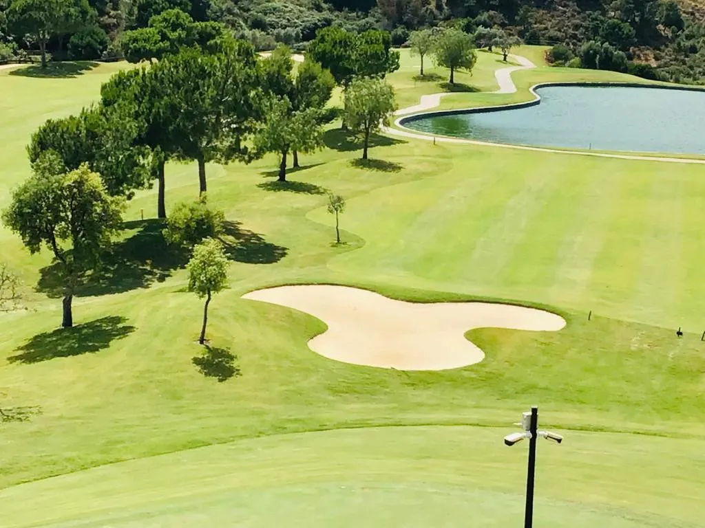 48170834-8b04-403c-95b5-e443354d3532