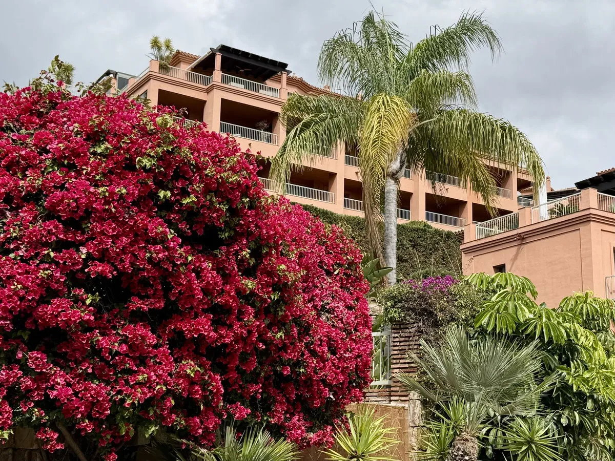 27bf8f70-b5f0-4a5e-828e-857a3e5ed8ee