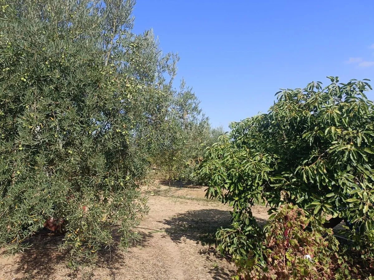 0ca34d68-1d12-4ae5-98e7-7cf2d0ae0208