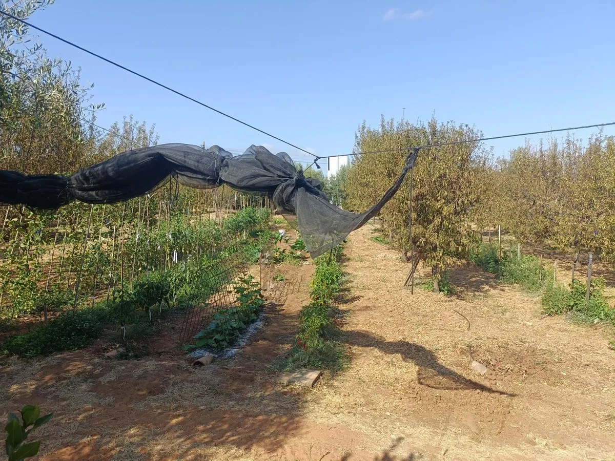 320e3e86-c78e-417e-a062-fc70f4ab18f0