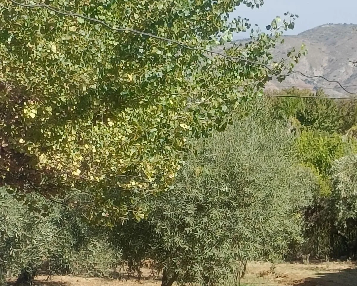 5547fdc4-218b-458b-b4e8-45d89587e2ca