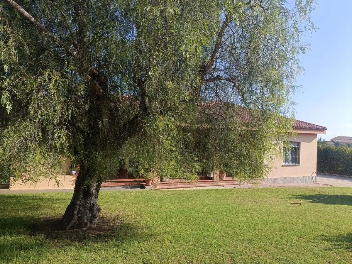 ef0fda06-6284-4303-95b2-1669b5a26cfc