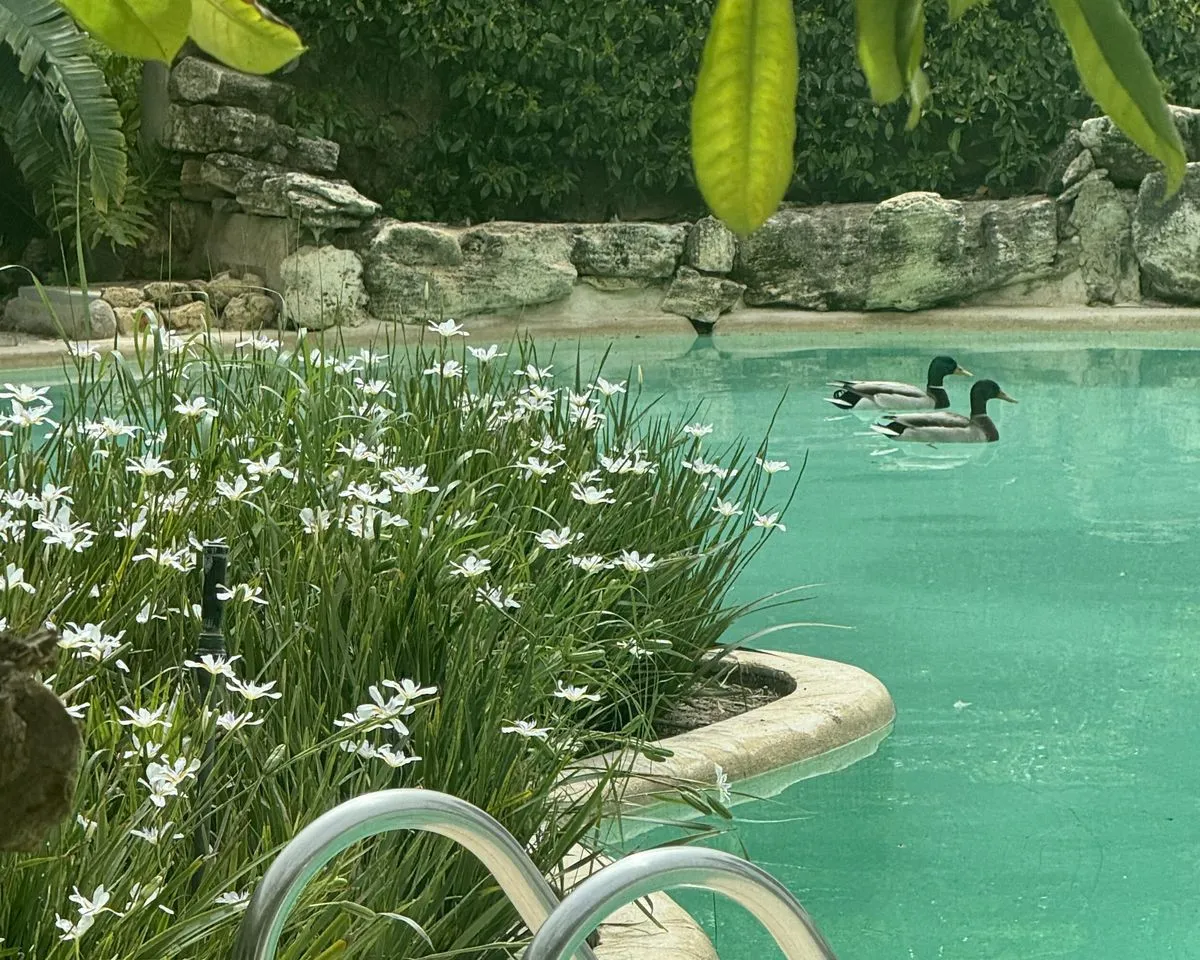 31b530ab-d129-4991-914c-94d6b5e5e5ca