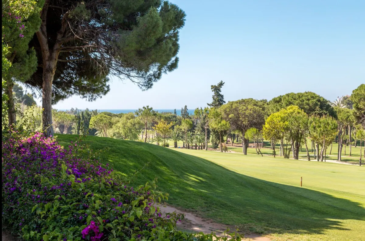 a4555491-ab5e-41b0-a2da-ac853d65e752