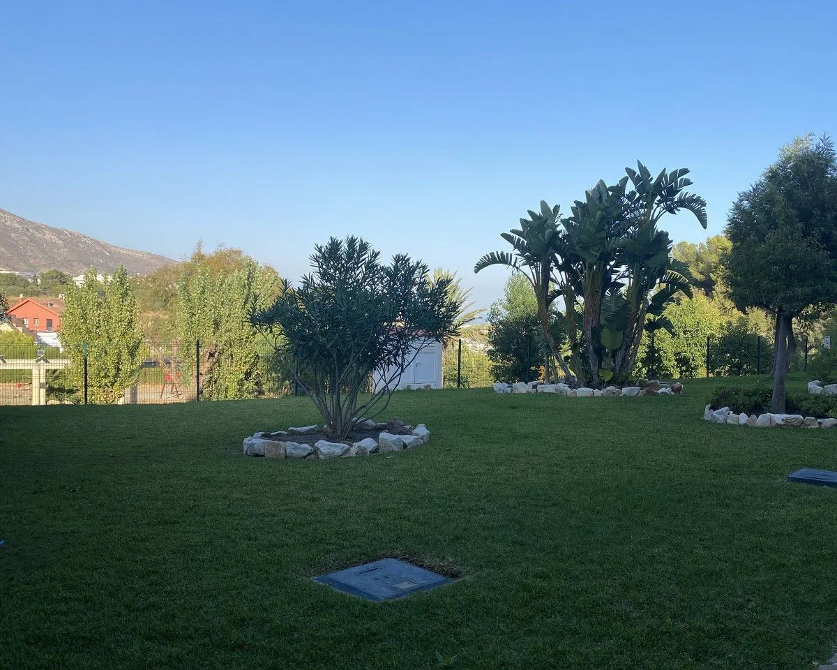 de3a9a85-9a7f-47bc-af9a-59b858bcae4d