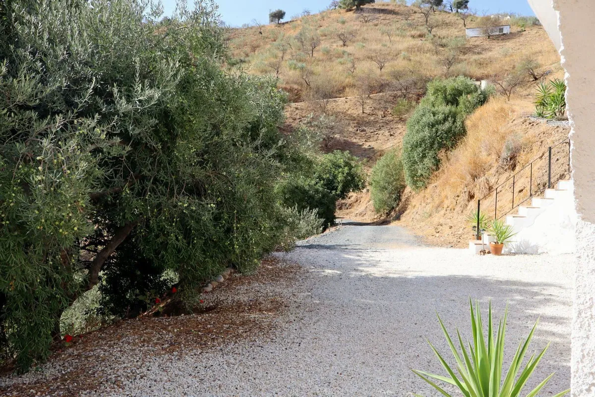 850fa3f0-0c76-44b1-9123-ecf53f6e9d5f